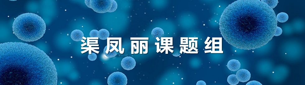 新校区正面图-banner